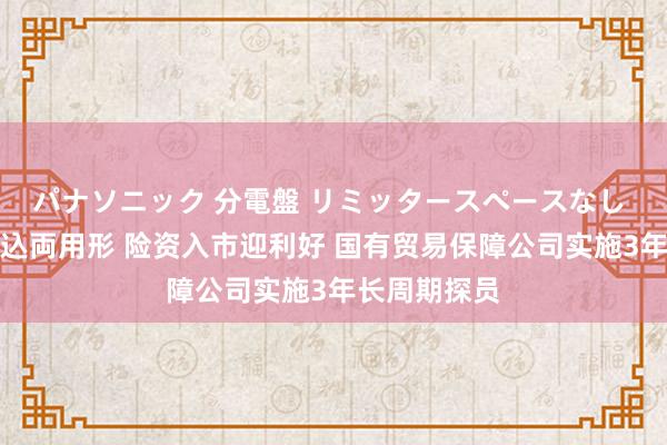 パナソニック 分電盤 リミッタースペースなし 露出・半埋込両用形 险资入市迎利好 国有贸易保障公司实施3年长周期探员