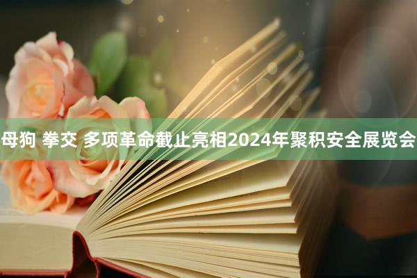 母狗 拳交 多项革命截止亮相2024年聚积安全展览会