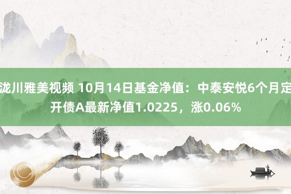 泷川雅美视频 10月14日基金净值：中泰安悦6个月定开债A最新净值1.0225，涨0.06%