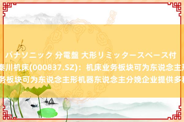 パナソニック 分電盤 大形リミッタースペース付 露出・半埋込両用形 秦川机床(000837.SZ)：机床业务板块可为东说念主形机器东说念主分娩企业提供多种加工开导