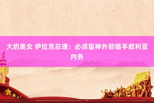 大奶美女 伊拉克总理：必须留神外部插手叙利亚内务