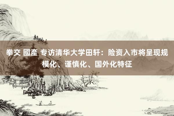 拳交 國產 专访清华大学田轩：险资入市将呈现规模化、谨慎化、国外化特征