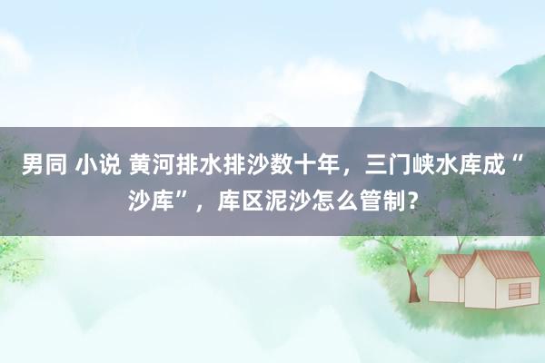 男同 小说 黄河排水排沙数十年，三门峡水库成“沙库”，库区泥沙怎么管制？