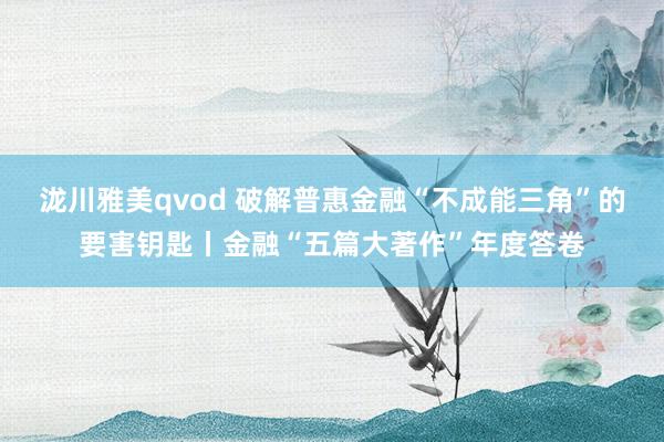 泷川雅美qvod 破解普惠金融“不成能三角”的要害钥匙丨金融“五篇大著作”年度答卷