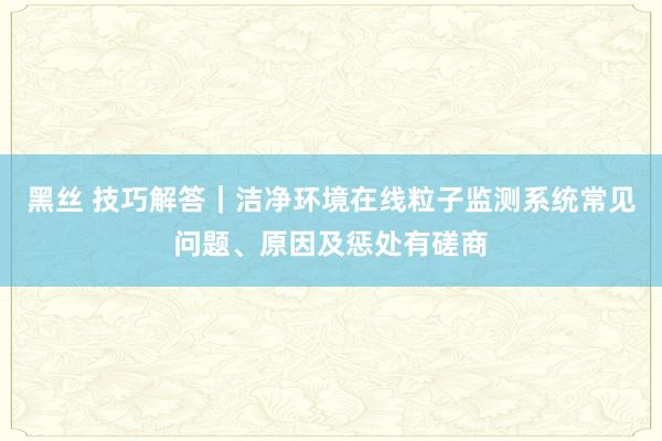 黑丝 技巧解答｜洁净环境在线粒子监测系统常见问题、原因及惩处有磋商