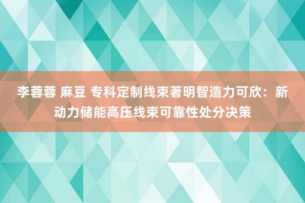 李蓉蓉 麻豆 专科定制线束著明智造力可欣：新动力储能高压线束可靠性处分决策