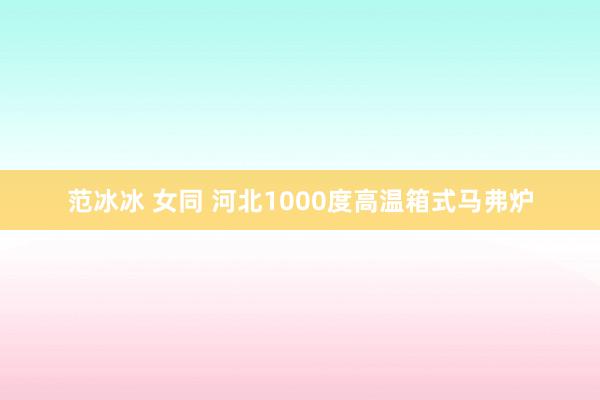 范冰冰 女同 河北1000度高温箱式马弗炉
