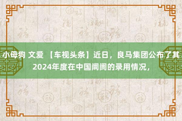 小母狗 文爱 【车视头条】近日，良马集团公布了其2024年度在中国阛阓的录用情况，