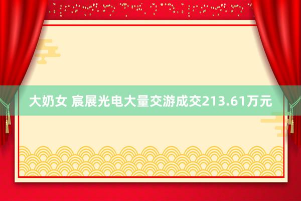 大奶女 宸展光电大量交游成交213.61万元