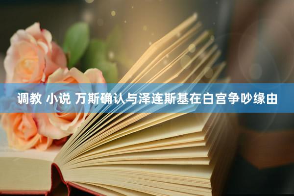 调教 小说 万斯确认与泽连斯基在白宫争吵缘由