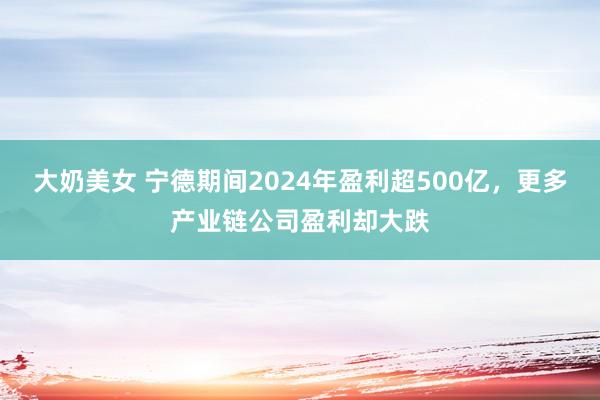 大奶美女 宁德期间2024年盈利超500亿，更多产业链公司盈利却大跌