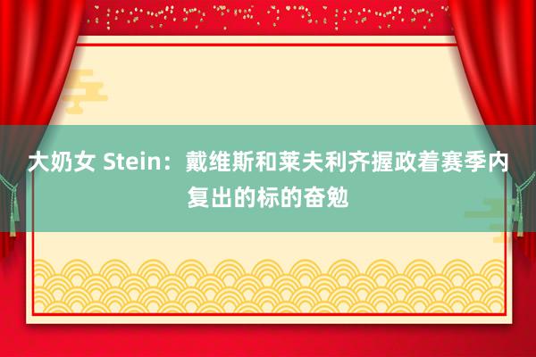 大奶女 Stein：戴维斯和莱夫利齐握政着赛季内复出的标的奋勉