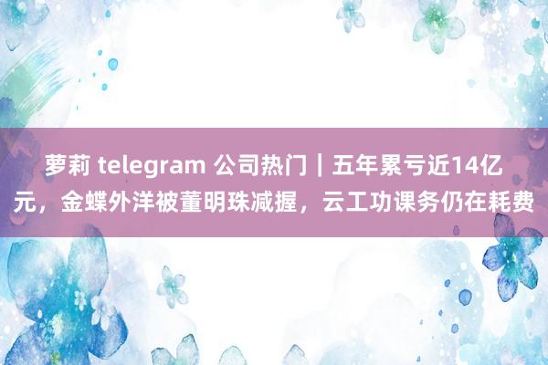 萝莉 telegram 公司热门｜五年累亏近14亿元，金蝶外洋被董明珠减握，云工功课务仍在耗费
