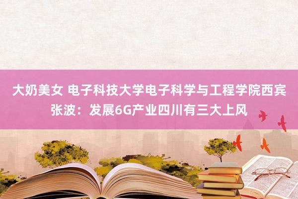 大奶美女 电子科技大学电子科学与工程学院西宾张波：发展6G产业四川有三大上风