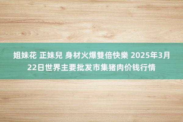 姐妹花 正妹兒 身材火爆雙倍快樂 2025年3月22日世界主要批发市集猪肉价钱行情
