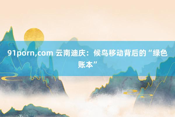 91porn，com 云南迪庆：候鸟移动背后的“绿色账本”