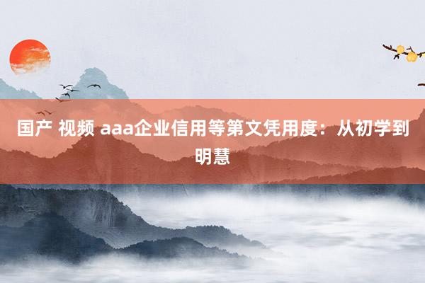 国产 视频 aaa企业信用等第文凭用度：从初学到明慧