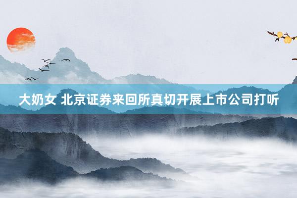 大奶女 北京证券来回所真切开展上市公司打听
