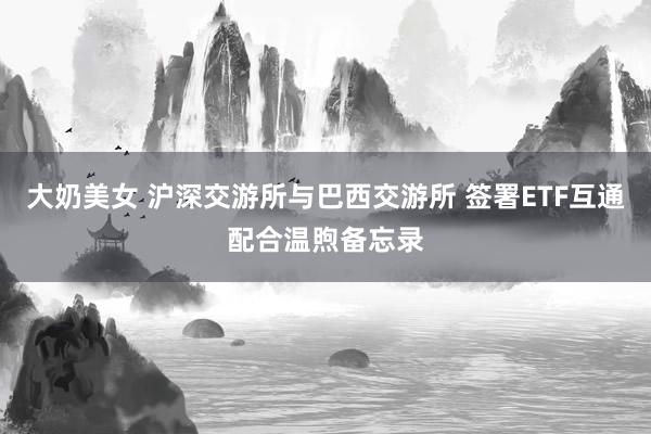 大奶美女 沪深交游所与巴西交游所 签署ETF互通配合温煦备忘录