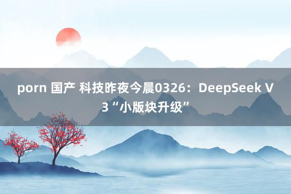 porn 国产 科技昨夜今晨0326：DeepSeek V3“小版块升级”