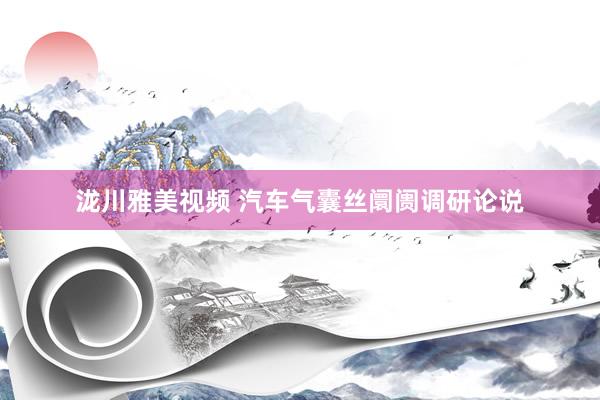 泷川雅美视频 汽车气囊丝阛阓调研论说