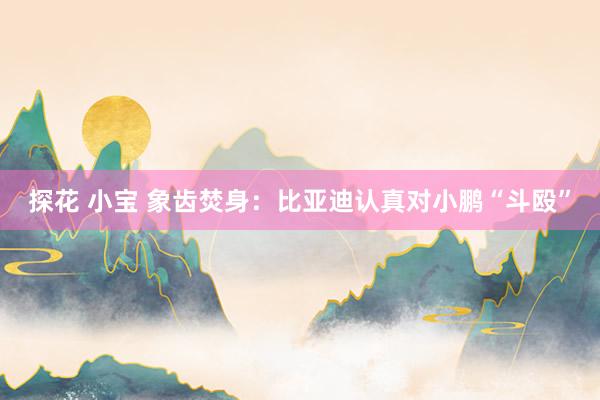 探花 小宝 象齿焚身：比亚迪认真对小鹏“斗殴”