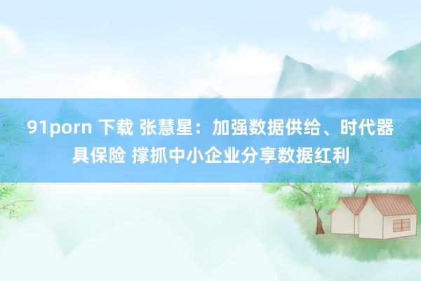 91porn 下载 张慧星：加强数据供给、时代器具保险 撑抓中小企业分享数据红利
