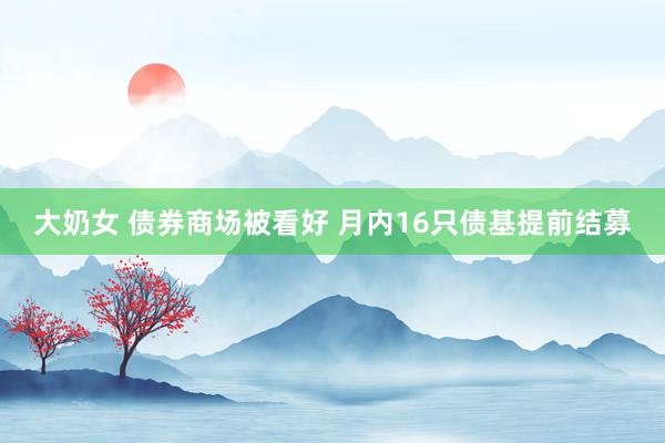 大奶女 债券商场被看好 月内16只债基提前结募