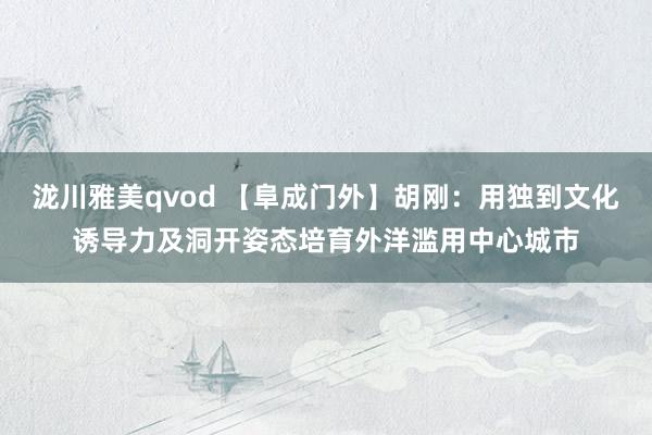 泷川雅美qvod 【阜成门外】胡刚：用独到文化诱导力及洞开姿态培育外洋滥用中心城市