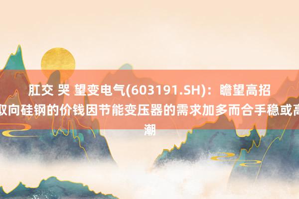 肛交 哭 望变电气(603191.SH)：瞻望高招牌取向硅钢的价钱因节能变压器的需求加多而合手稳或高潮