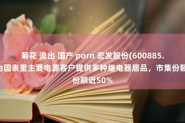 菊花 流出 国产 porn 宏发股份(600885.SH)：为国表里主要电源客户提供多种继电器居品，市集份额近50%