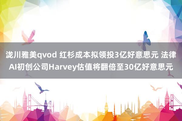 泷川雅美qvod 红杉成本拟领投3亿好意思元 法律AI初创公司Harvey估值将翻倍至30亿好意思元