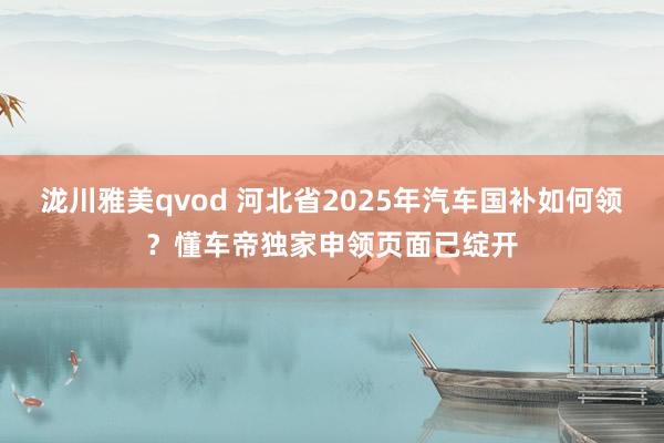 泷川雅美qvod 河北省2025年汽车国补如何领？懂车帝独家申领页面已绽开