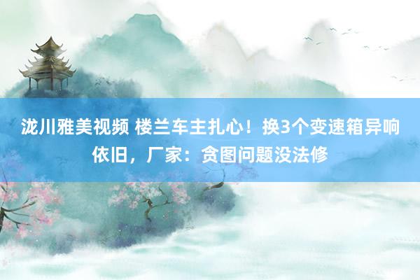 泷川雅美视频 楼兰车主扎心！换3个变速箱异响依旧，厂家：贪图问题没法修
