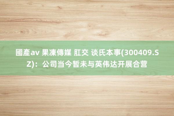 國產av 果凍傳媒 肛交 谈氏本事(300409.SZ)：公司当今暂未与英伟达开展合营