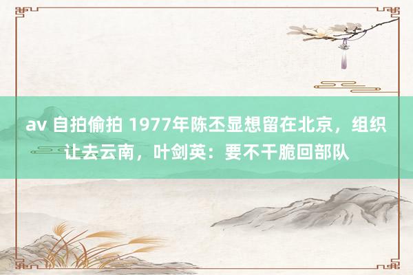 av 自拍偷拍 1977年陈丕显想留在北京，组织让去云南，叶剑英：要不干脆回部队
