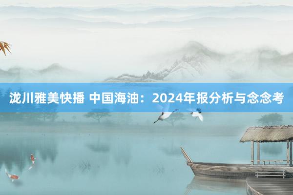 泷川雅美快播 中国海油：2024年报分析与念念考