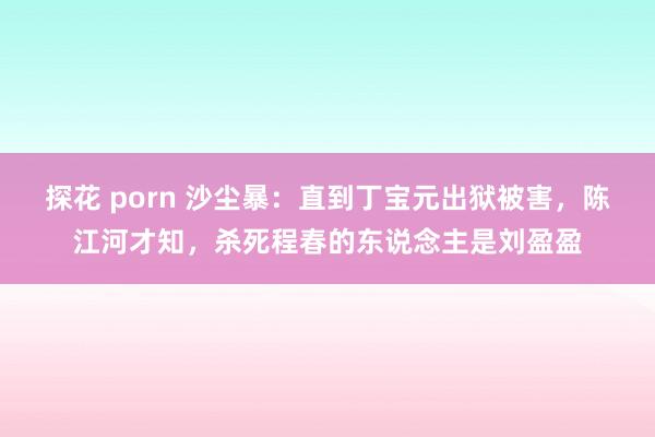 探花 porn 沙尘暴：直到丁宝元出狱被害，陈江河才知，杀死程春的东说念主是刘盈盈