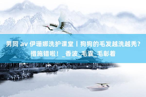 男同 av 伊珊娜洗护课堂丨狗狗的毛发越洗越秃？措施错啦！_香波_毛囊_毛彰着