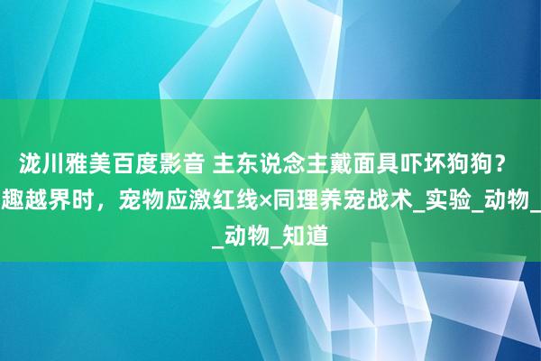 泷川雅美百度影音 主东说念主戴面具吓坏狗狗？ 当打趣越界时，宠物应激红线×同理养宠战术_实验_动物_知道