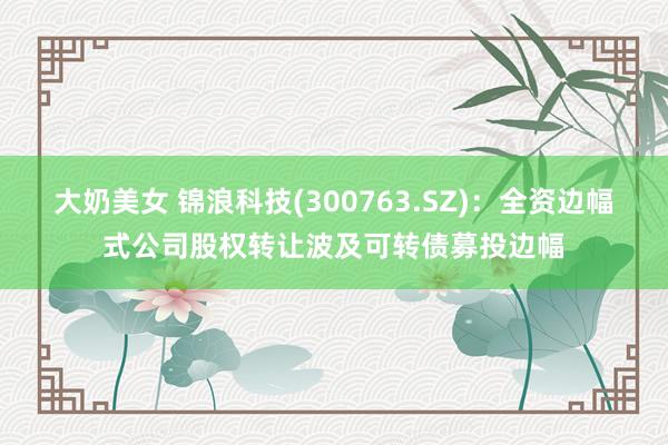 大奶美女 锦浪科技(300763.SZ)：全资边幅式公司股权转让波及可转债募投边幅