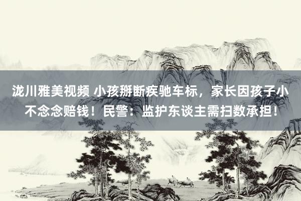 泷川雅美视频 小孩掰断疾驰车标,家长因孩子小不念念赔钱!民警:监护东谈主需扫数承担!
