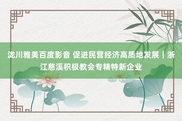 泷川雅美百度影音 促进民营经济高质地发展｜浙江慈溪积极教会专精特新企业