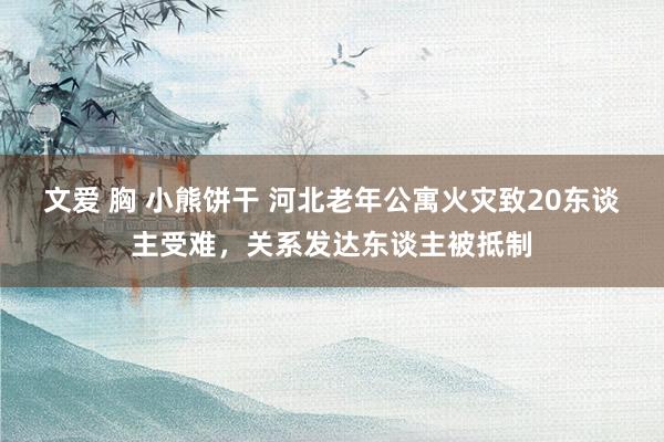文爱 胸 小熊饼干 河北老年公寓火灾致20东谈主受难，关系发达东谈主被抵制