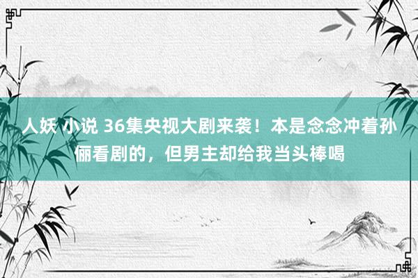 人妖 小说 36集央视大剧来袭！本是念念冲着孙俪看剧的，但男主却给我当头棒喝