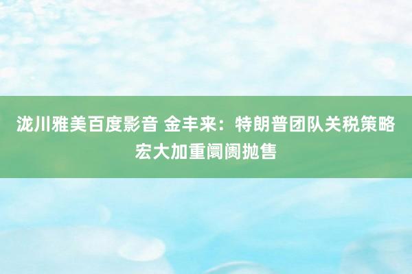 泷川雅美百度影音 金丰来：特朗普团队关税策略宏大加重阛阓抛售