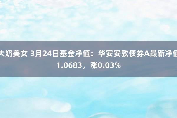 大奶美女 3月24日基金净值：华安安敦债券A最新净值1.0683，涨0.03%