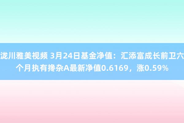 泷川雅美视频 3月24日基金净值：汇添富成长前卫六个月执有搀杂A最新净值0.6169，涨0.59%