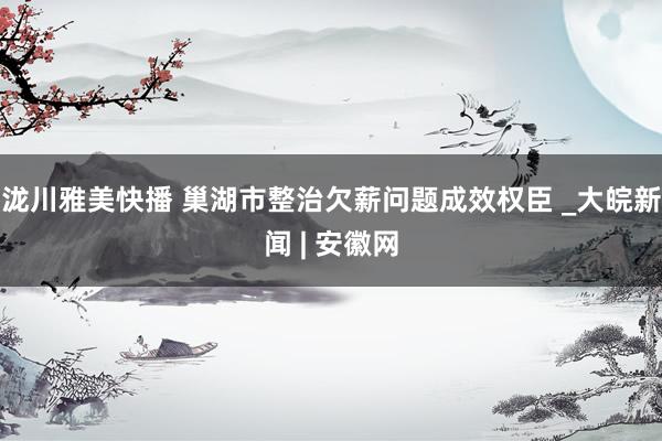 泷川雅美快播 巢湖市整治欠薪问题成效权臣 _大皖新闻 | 安徽网