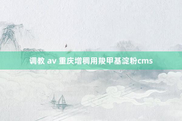 调教 av 重庆增稠用羧甲基淀粉cms